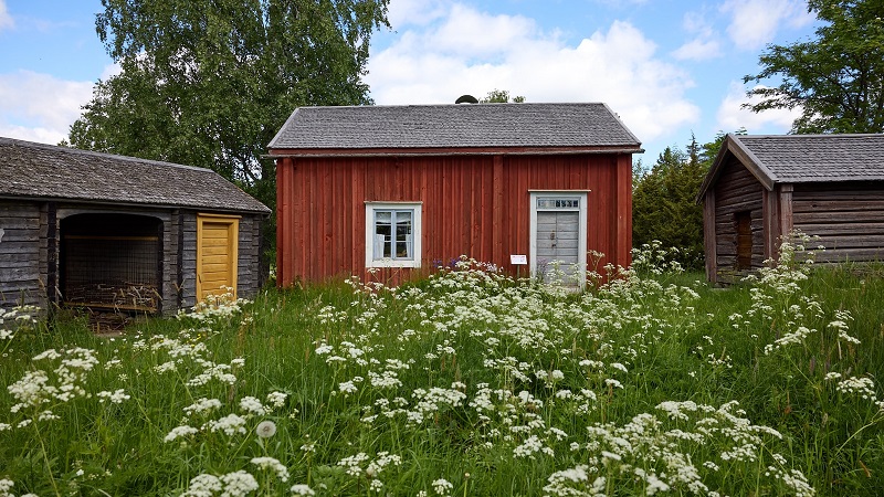 Stundars. Foto Linus Lindholm