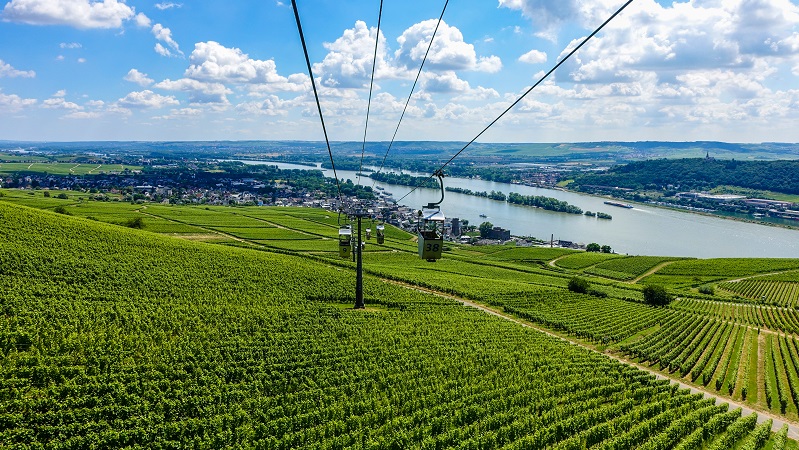Bild: Rüdesheim am Rhein