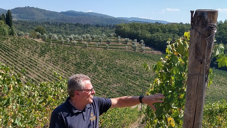 Guide på vingården Terreno